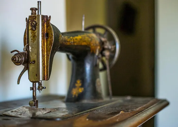 Olea Histria Prázdninový dům