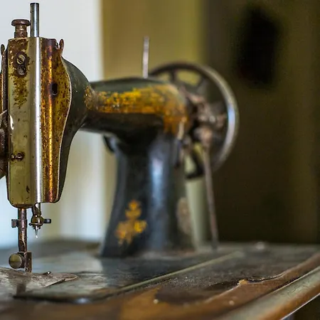 Olea Histria Vakantiehuis