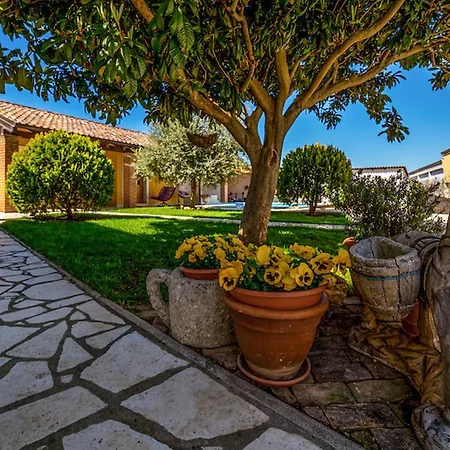 Olea Histria * بوريتش