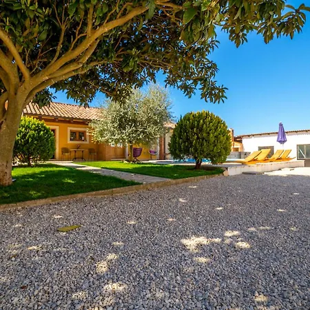 Olea Histria بوريتش